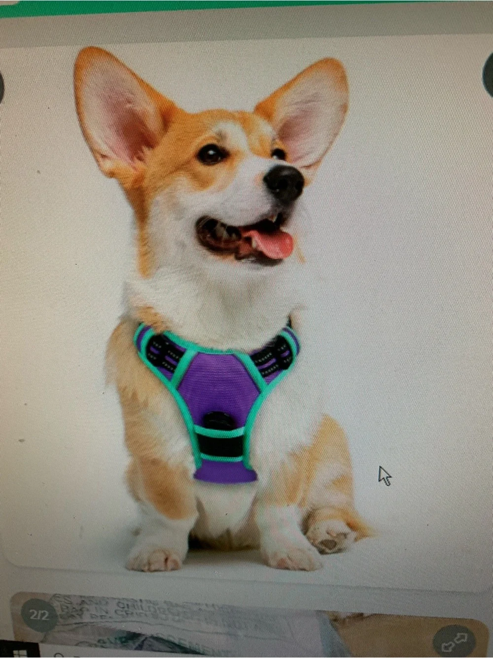 Purple & Teal Padded Dog Harness - Comfort Fitt. By Eagle